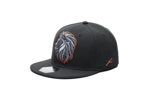 Niederlande-Maskottchen-Snapback-Hut